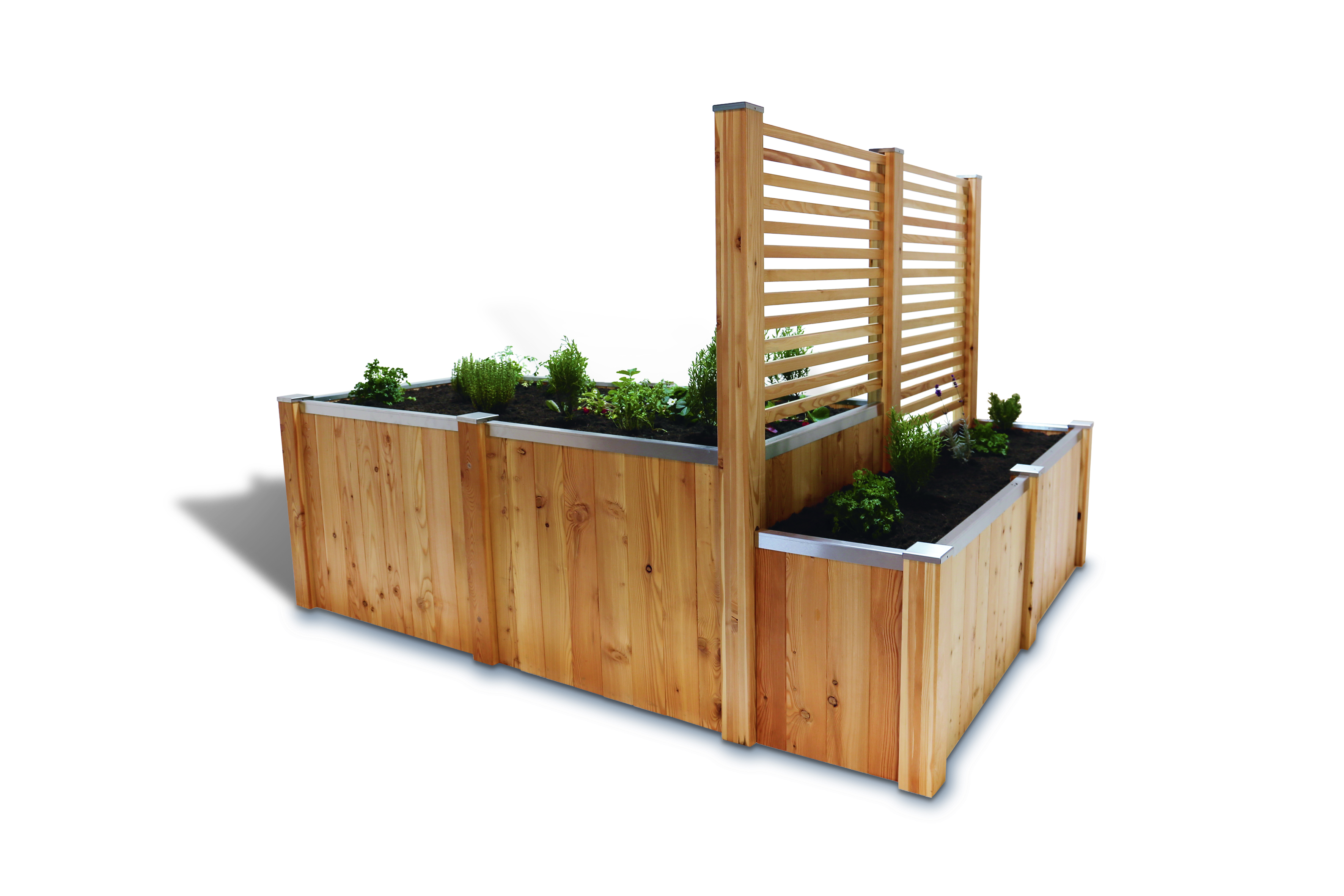 Hochbeet Family mit Rankgitter  Hochbeet Family mit Rankgitter